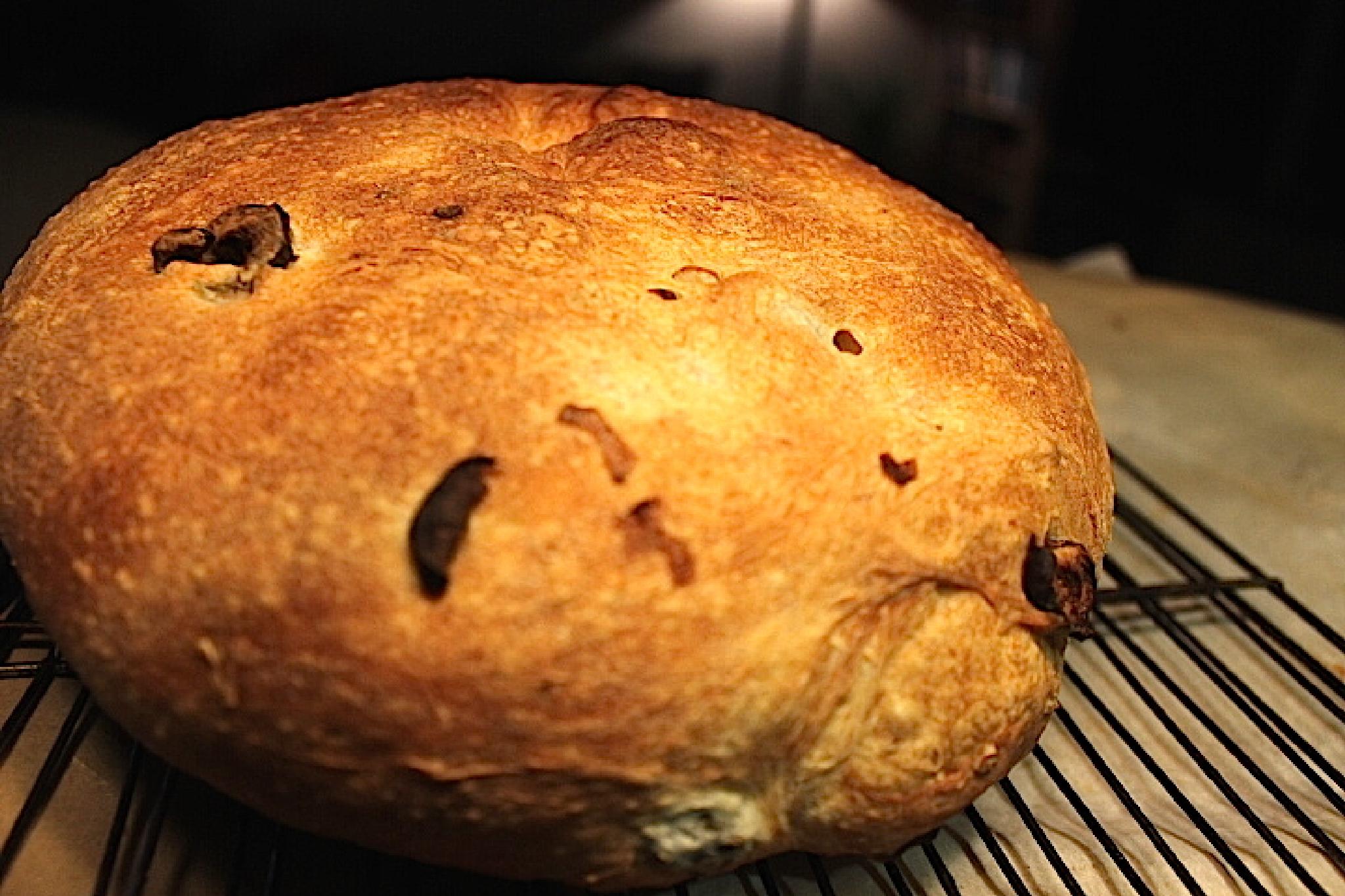 Bake This Seriously Easy Rustic Savory Uber Crusty Olive/Jalapeno