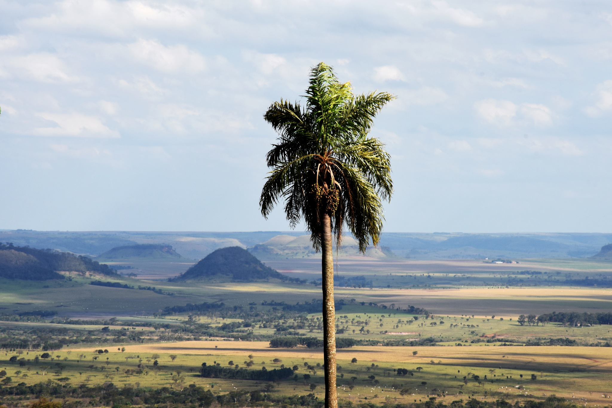 ZanjaPytá Paraguay by delcueto on YouPic