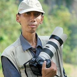 Herman Adi Herman Adi