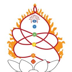 Yoga Vini Rishikesh Yoga Vini Rishikesh