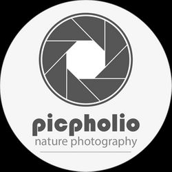 Picpholio Nature Photography Picpholio Nature Photography