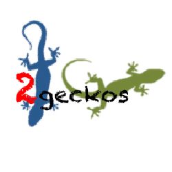 twogeckos twogeckos