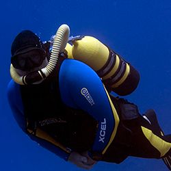 time2dive time2dive