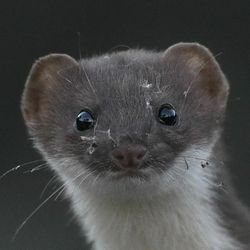 antoniopalmeraspalmeras antoniopalmeraspalmeras