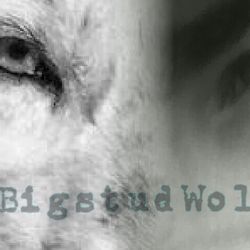 BigstudWolf ArtS BigstudWolf ArtS