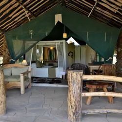 segeinadventuresafaris segeinadventuresafaris