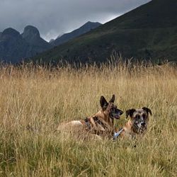ClydeTherapy ClydeTherapy